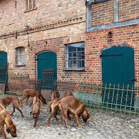 Bauernhof-Streichel-Zoo-Kombi-Familien-Suite-Im-Wald-Am-See Gulow 외부 사진