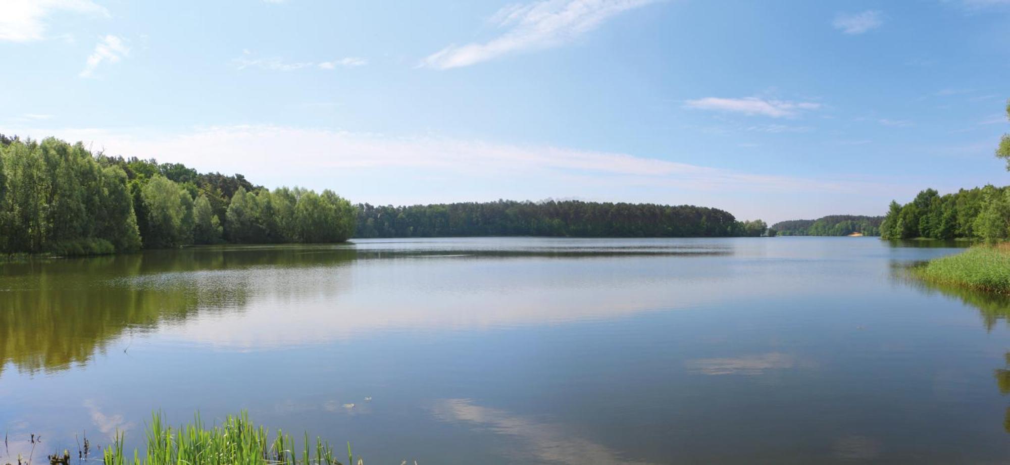 Bauernhof-Streichel-Zoo-Kombi-Familien-Suite-Im-Wald-Am-See Gulow 외부 사진